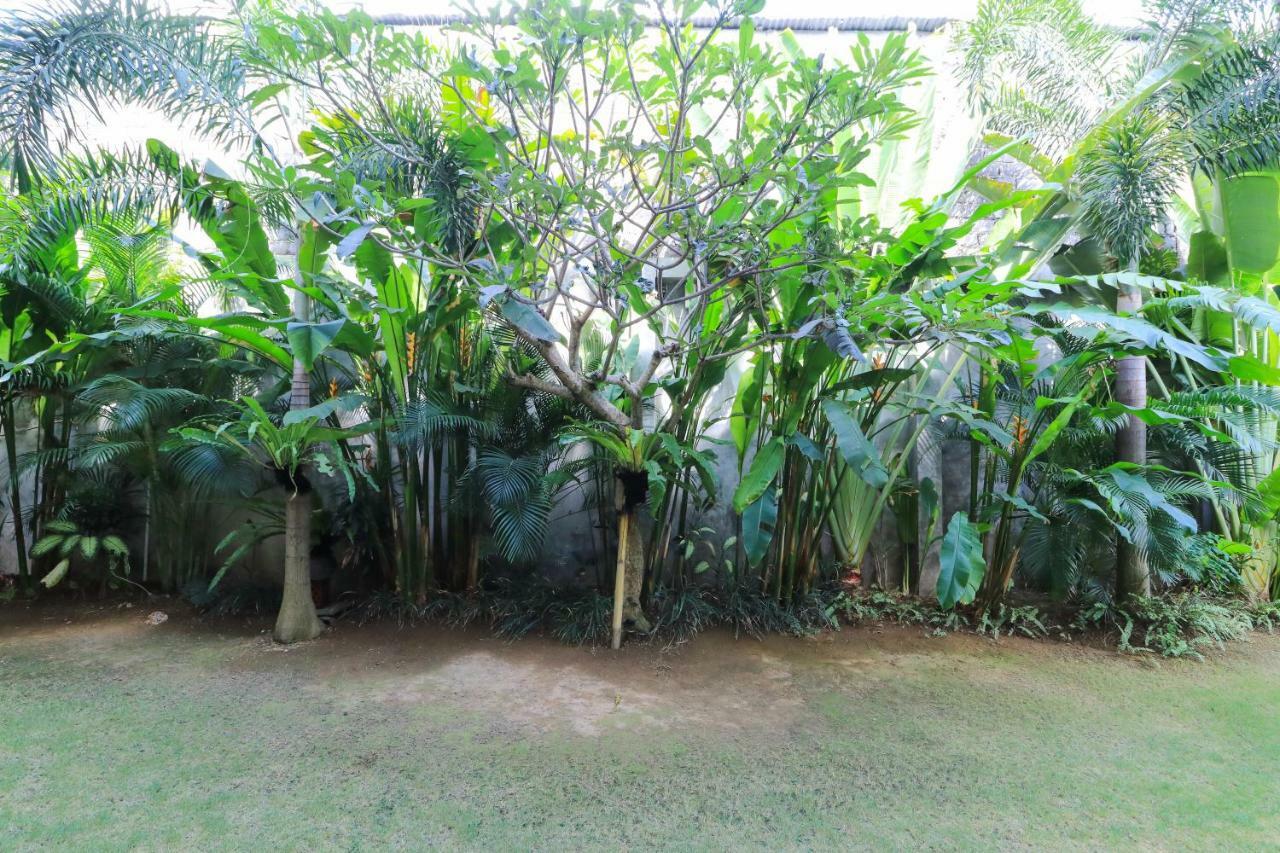 Kubu Kenak Guesthouse Seminyak  Ngoại thất bức ảnh